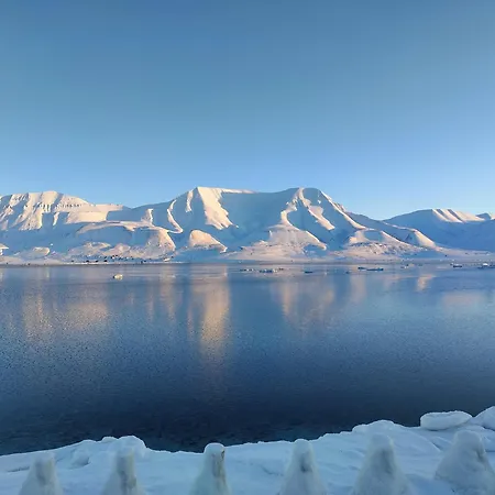 Arctic Vans - Comfort On Wheels Λονγκιαρμπίεν